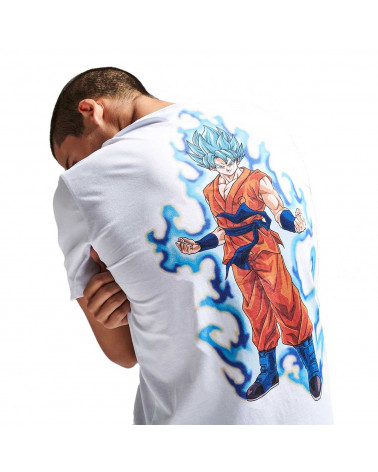 Dolly Noire X Dragon Ball Goku Super Saiyan God