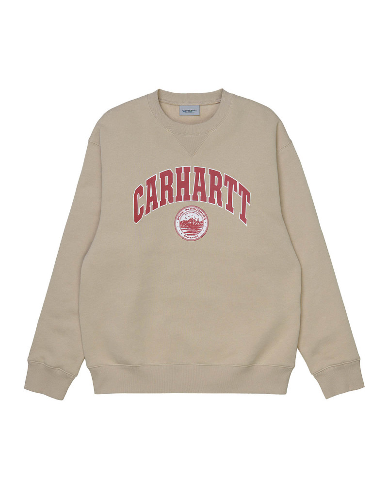Carhartt Wip Berkeley Sweatshirt Wall