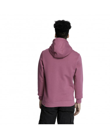 The North Face Sweatshirt Drew Peak PO Hoodie Pikes Purple