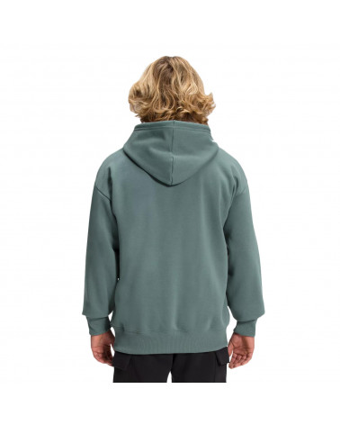 The North Face Sweatshirt Coordinates Hoodie Balsam Green