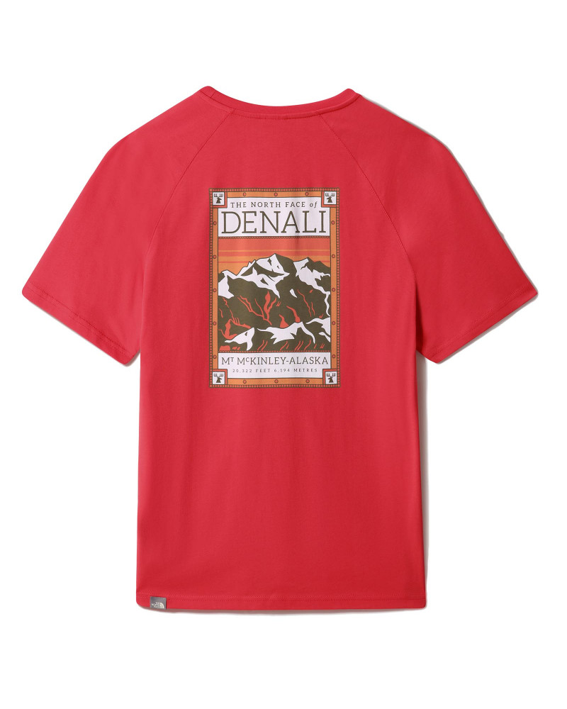 The North Face T-Shirt North Faces Horizon Red