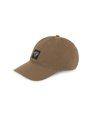 Iuter Logo Dad Hat Earth
