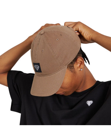 Iuter Logo Dad Hat Earth