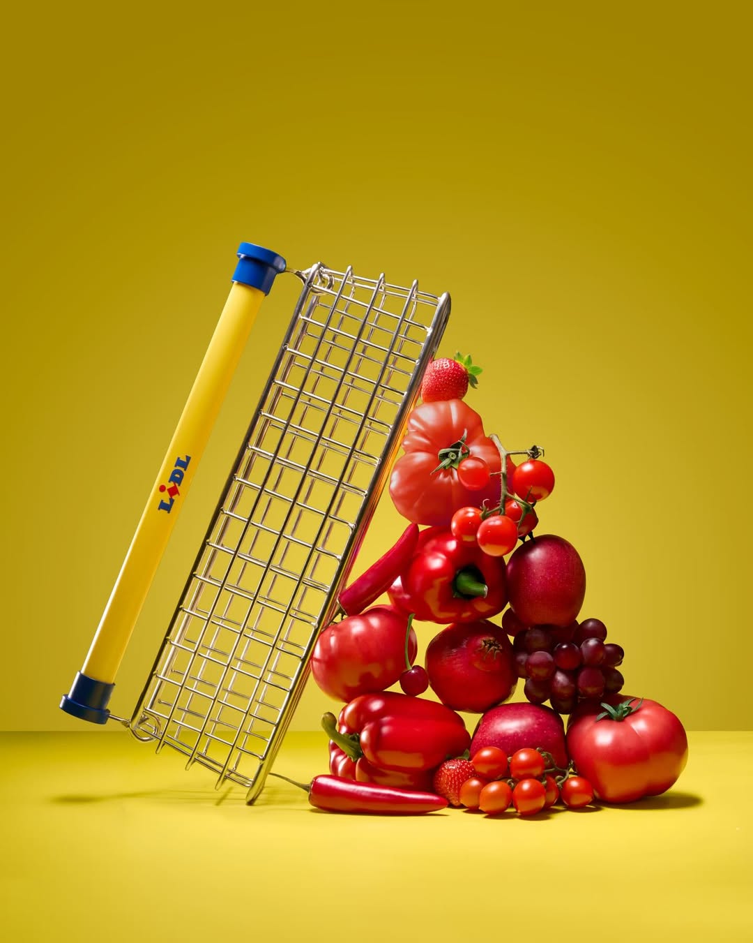 Lidl Trolley Bag